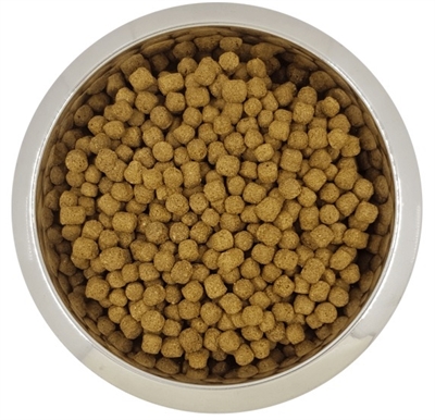 YOURDOG DWERG- OF TOYPOEDEL VOLWASSEN 3 KG