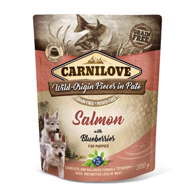 CARNILOVE DOG POUCH ZALM / BLAUWE BES VOOR PUPPIES 12X300 GR