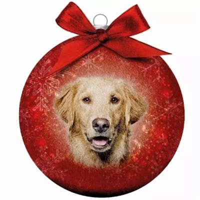 PLENTY GIFTS KERSTBAL FROSTED GOLDEN RETRIEVER ROOD 10 CM