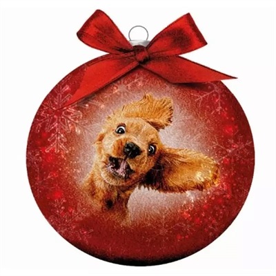 PLENTY GIFTS KERSTBAL FROSTED GEKKE HOND ROOD 10 CM