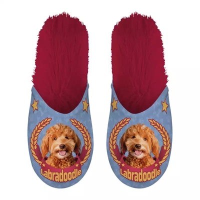 PANTOFFEL LABRADOODLE LILA / ROOD MAAT 39-42