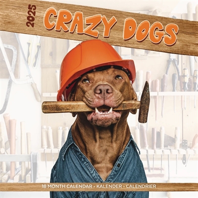 KALENDER CRAZY DOGS 2025 30X30 CM