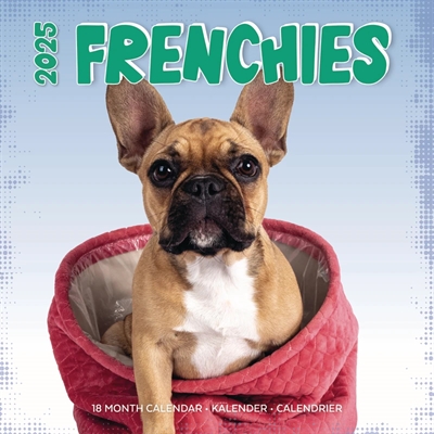 KALENDER FRENCHIES STUDIO 2025 30X30 CM