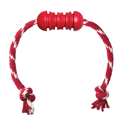 KONG DENTAL MET TOUW 12X5X5 CM