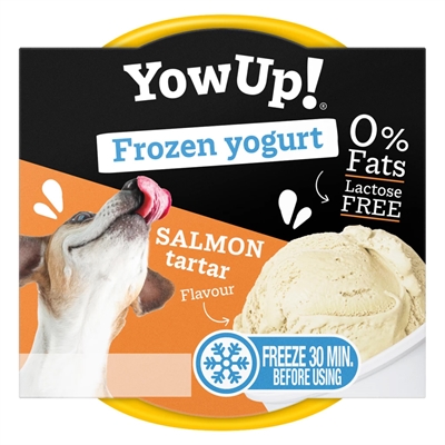 YOWUP! FROZEN YOGHURT SALMON TARTAR 110 GR