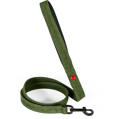 ZOLUX EXPERT HONDENRIEM PREMIUM LEER / NEOPREEN GROEN 100X1