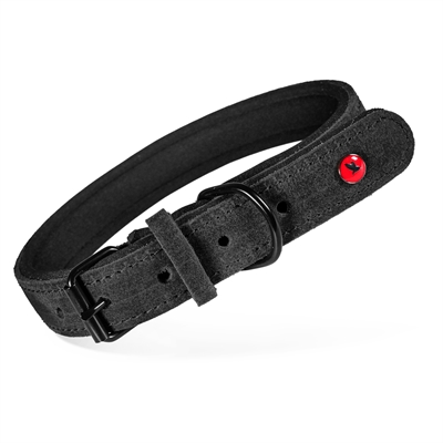 ZOLUX EXPERT HALSBAND HOND PREMIUM LEER / NEOPREEN ZWART 55X2
