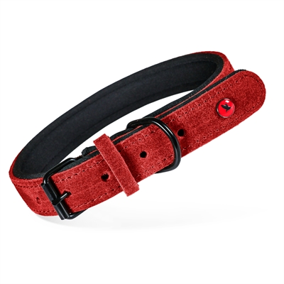 ZOLUX EXPERT HALSBAND HOND PREMIUM LEER / NEOPREEN ROOD 55X2
