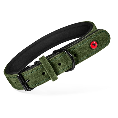 ZOLUX EXPERT HALSBAND HOND PREMIUM LEER / NEOPREEN GROEN 80X3 CM